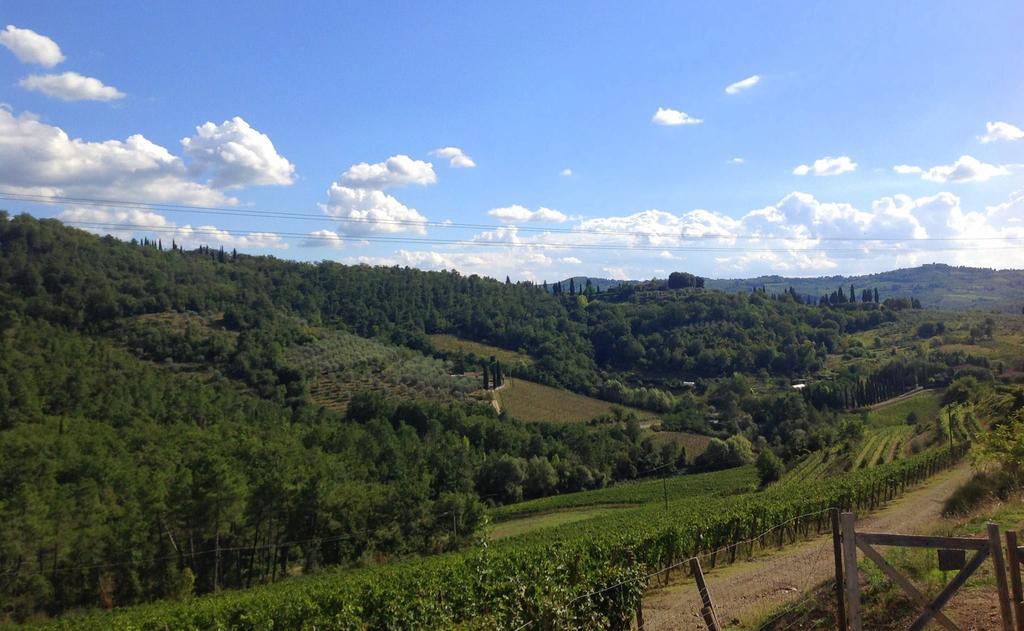 Villa Agriturismo La Camporena Greve in Chianti Exterior foto